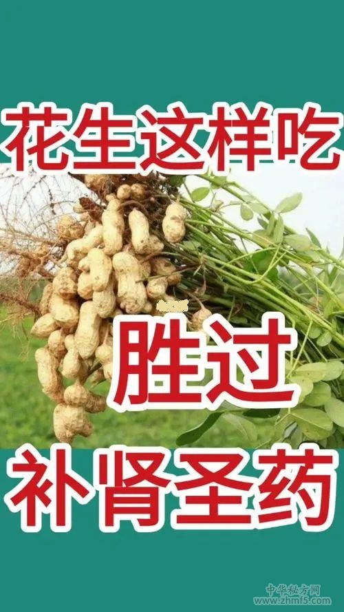 吃花生可以補腎嗎？怎么吃效果更好？