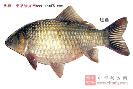 鯽魚，四類人要少吃