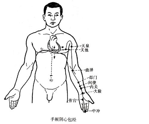 手厥陰心包經(jīng)