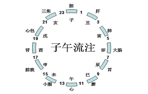 只要這些經(jīng)絡(luò)暢通，想病都不可能 - 緣水禪心 - 