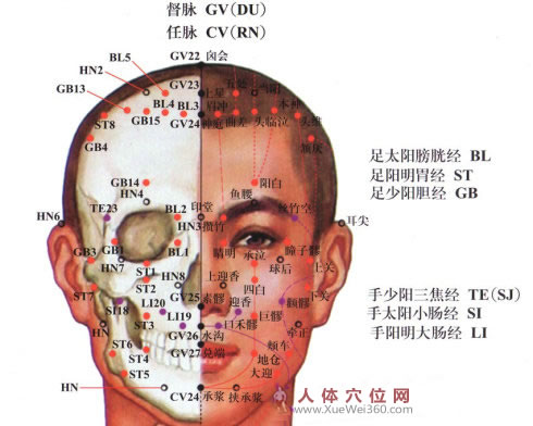 按穴治?。侯^面部穴位