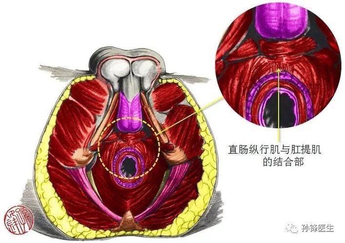 女性私處的秘密是什么？八個女人陰道的秘密