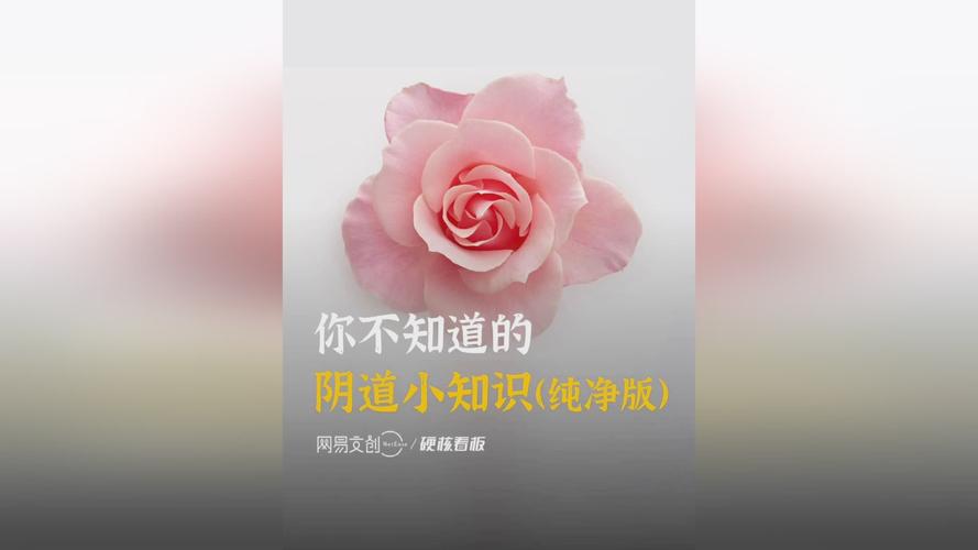 女性的私處包括什么？女性私處的構(gòu)成部分是什么？