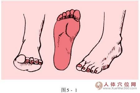 家庭按摩百科大全：腳底反射區(qū)按摩