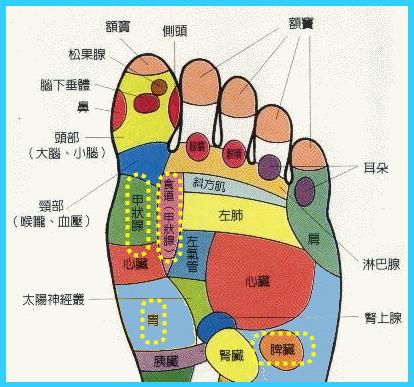 按摩腳底穴位反射區(qū)療效好不好？