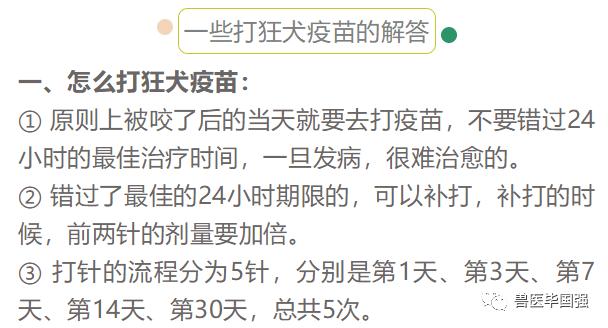 打疫苗運(yùn)動會有什么副作用-打疫苗運(yùn)動會有什么副作用嘛