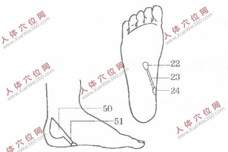 堅持手腳穴位按摩可很快治愈尿失禁