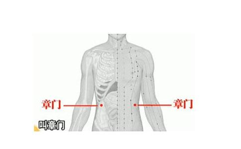 章門(mén)的準(zhǔn)確位置圖和作用(章門(mén)的準(zhǔn)確位置圖和作用及功效)