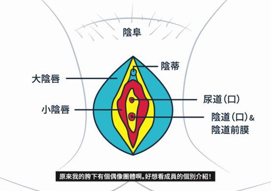 女性私密處的專業(yè)知識是多少？詳細(xì)介紹了女性隱私的基本知識