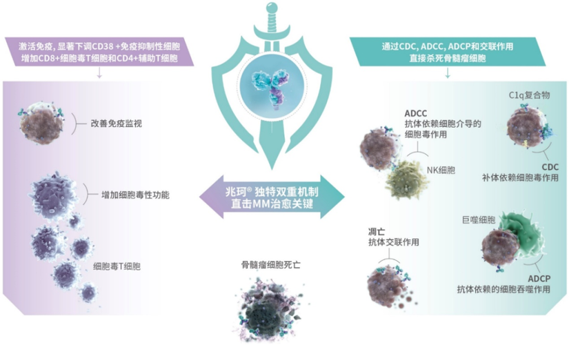 cd38單抗化療副作用,cd38單抗副作用緩解方案