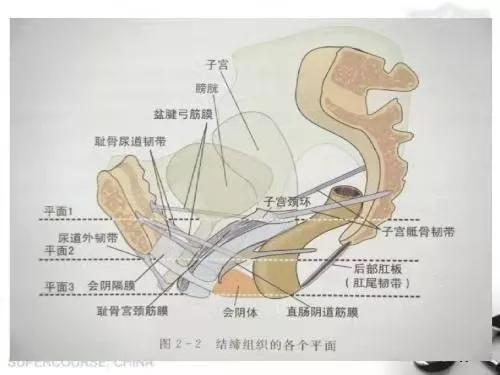 射在里面是什么意思？陰道的內(nèi)部是什么？