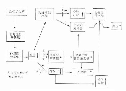 的作用_的作用機(jī)制和藥理作用