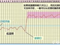 排卵期有什么癥狀表現(xiàn)懷孕的最初征兆1-14天