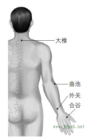 大椎、曲池、合谷、外關(guān)