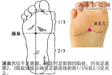 涌泉穴的準(zhǔn)確位置圖