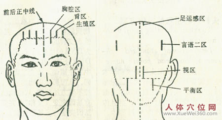 中風的推拿治療技術(shù)：頭部