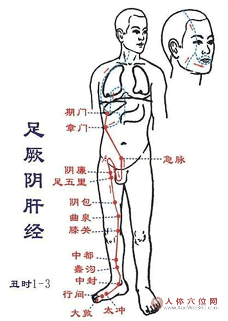 配穴原則與施治順序