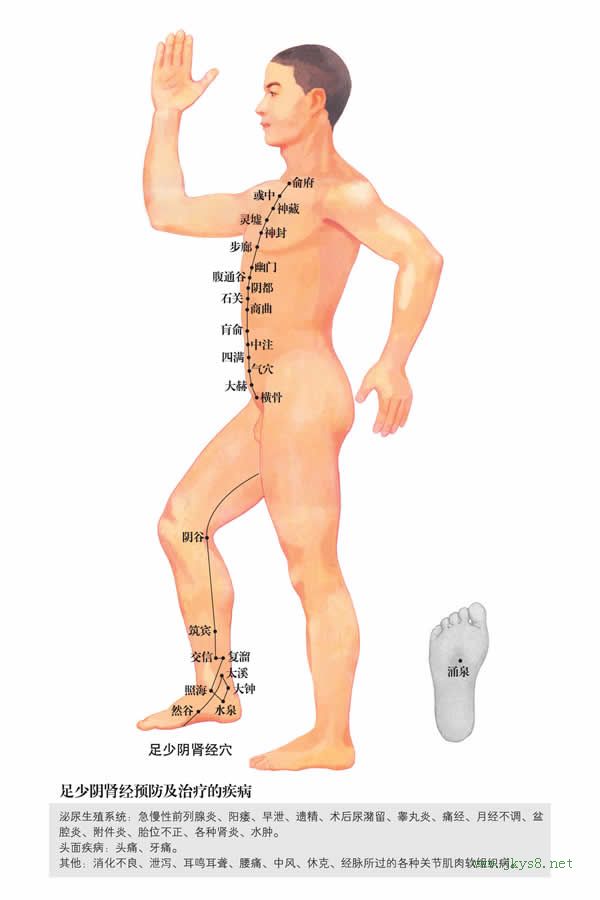 幽門(mén)穴：腎經(jīng)(圖文)