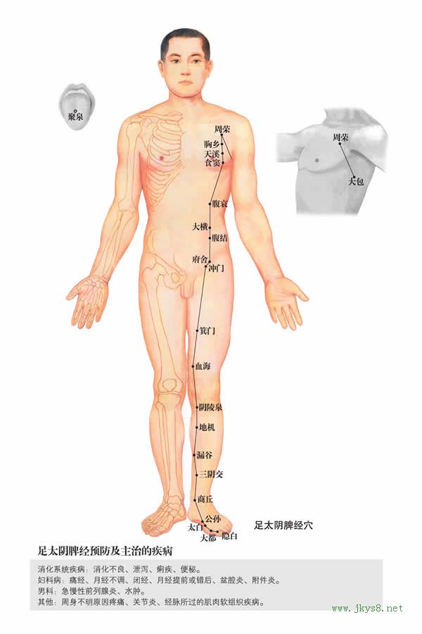 胸鄉(xiāng)穴：脾經(jīng)(圖文)