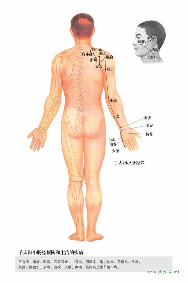 曲垣穴：小腸經(jīng)(圖文)