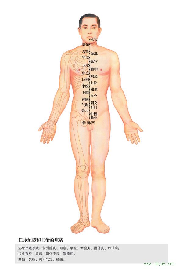 人體經(jīng)絡穴位圖分布及詳解-任脈