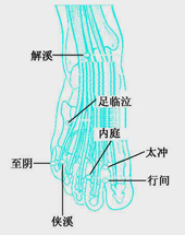 俠溪穴位位置圖