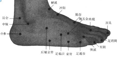 昆侖穴位位置圖