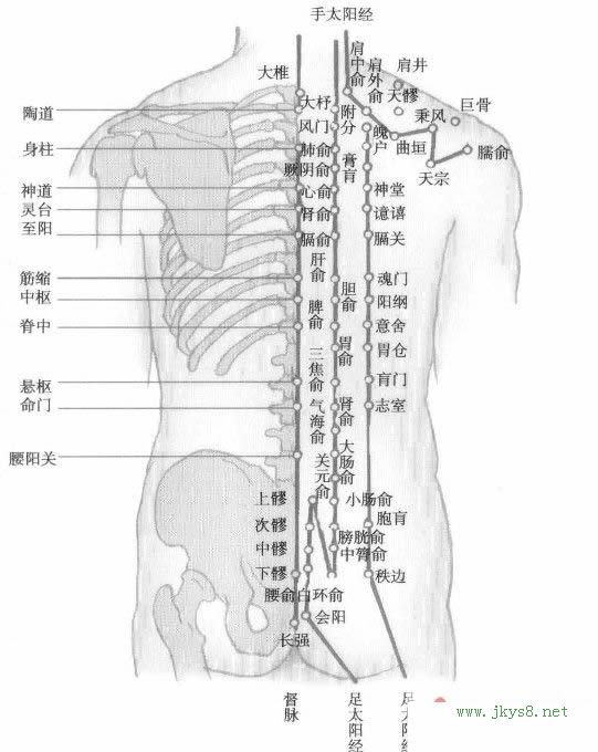 背部穴位圖