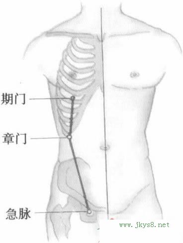 肝經(jīng)穴