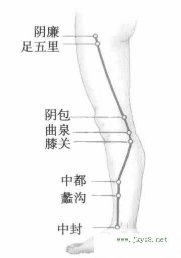 肝經(jīng)穴位