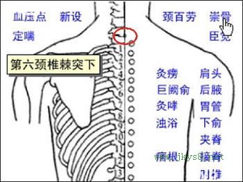 頸百勞穴位位置圖