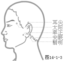 耳尖穴位位置圖-人體穴位查詢