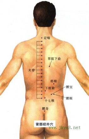 常按摩這兩大壯陽穴位 男人一生不用愁(圖文)