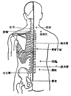 下極俞穴位位置圖-人體穴位查詢