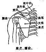 臑腧穴