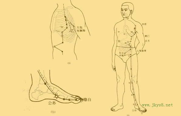 人體穴位圖詳解