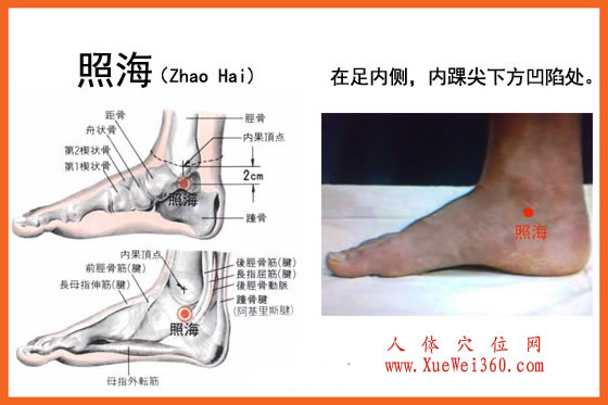 照海穴的準(zhǔn)確位置圖