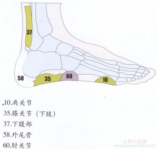 足外側(cè)反射區(qū)