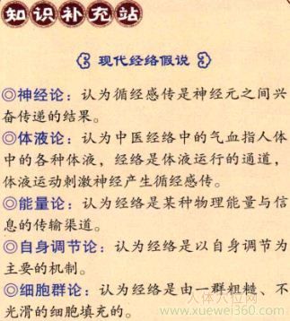 現(xiàn)代經(jīng)絡假說