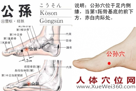 公孫穴的準(zhǔn)確位置圖