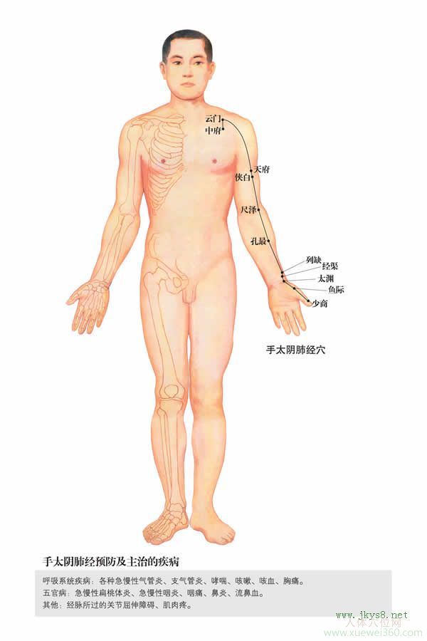 太淵穴：肺經(jīng)(圖文)