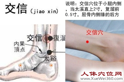 交信穴的準(zhǔn)確位置圖