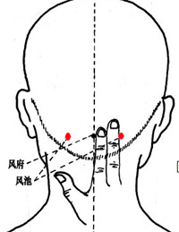 風(fēng)池