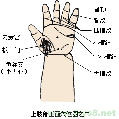 小兒手部穴位圖：四橫紋