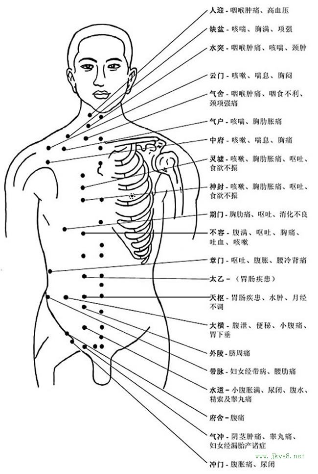 人體穴位高清圖帶穴位功能主治說明