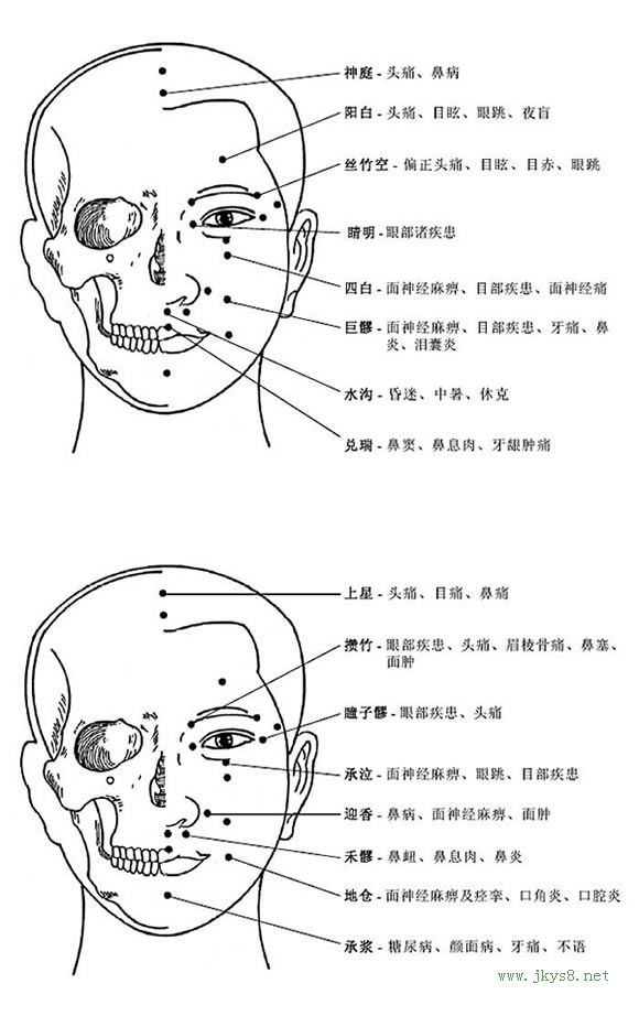 圖片詳解-人體穴位、經(jīng)脈及對應(yīng)疾病大全