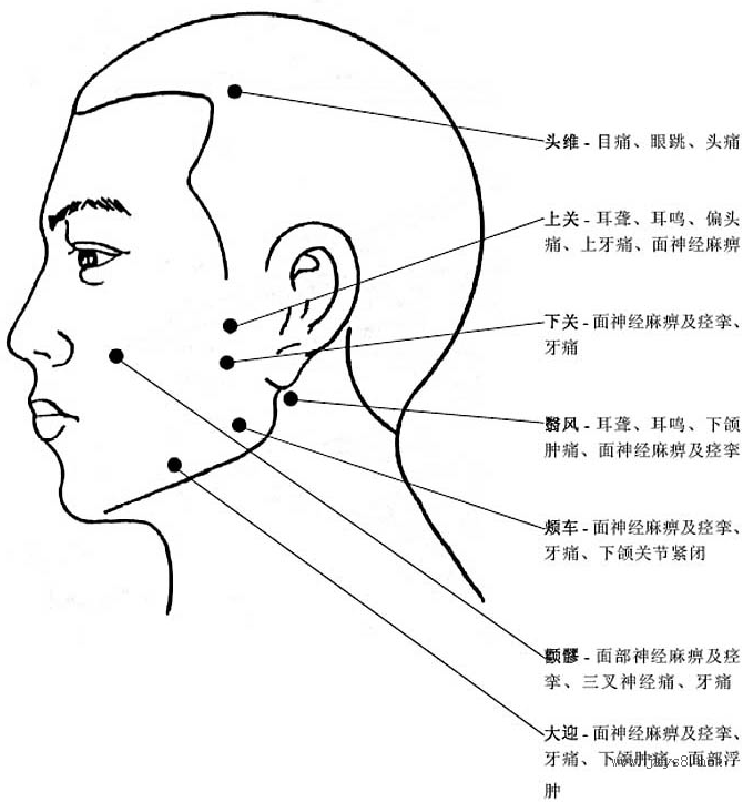 人體穴位高清圖帶穴位功能主治說明