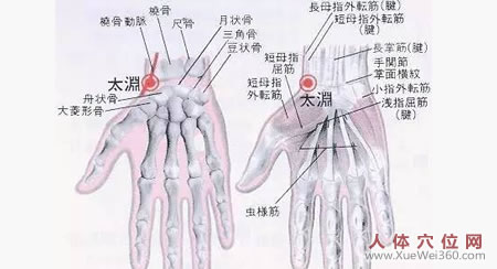 太淵穴
