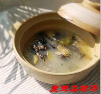 鹿茸烏雞湯