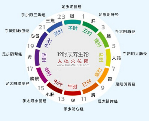 一天中的12經絡養(yǎng)生法則